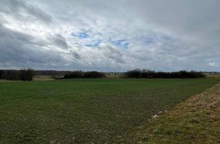 Grundstück zu kaufen in 85258 Weichs, 1,45 ha landwirtschaftliche Fläche – Acker- und Ausgleichsfläche – nahe Ortsrand