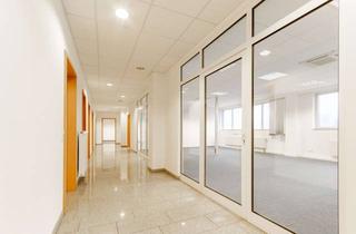 Büro zu mieten in 59823 Arnsberg, Helle und flexible Büroflächen im Gewerbegebiet Dieselstraße mit perfekter Verkehrsanbindung!