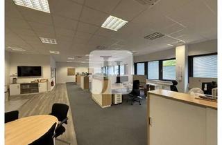 Büro zu mieten in 25421 Pinneberg, ca. 900 m² neuwertige Büroflächen (teilbar ab ca. 450 m²) auf einem gepflegten Gewerbehof