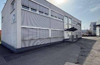 Büro zu mieten in Raiffeisenstraße 1a, 61191 Rosbach, Attraktive Bürofläche im 1.OG mit funktionaler Raumstruktur zu vermieten