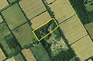 Gewerbeimmobilie kaufen in Ketelvierth, 24623 Großenaspe, Ehemalige Kiesgrube, jetzt Naturgrundstück/Wald