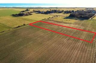 Gewerbeimmobilie kaufen in Kialengung, 25980 Sylt, Attraktive Landwirtschaftsfläche in Morsum