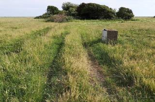 Gewerbeimmobilie kaufen in Gungwai 100, 25980 Sylt, Idyllisches Grundstück - ehem. bebaut mit Baracken