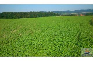 Gewerbeimmobilie kaufen in 97450 Arnstein, Acker als Kapitalanlage! Rückpacht möglich!