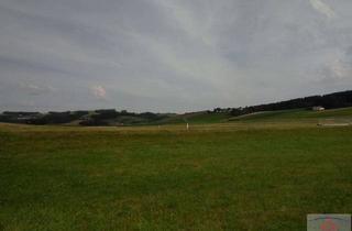 Gewerbeimmobilie kaufen in 91472 Ipsheim, Acker mit ca. 7140 m²!