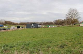 Gewerbeimmobilie kaufen in Im Hafnersgrund 5 + 7, 75045 Walzbachtal, Gewerbegrundstücke in Walzbachtal