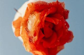 Einfamilienhaus kaufen in 21079 Hamburg, EIN HAUS, DAS MIT GROSSEM PLATZANGEBOT ÜBERZEUGT