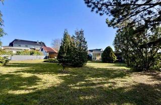 Grundstück zu kaufen in 04316 Leipzig, Großes Baugrundstück in Leipzig-Baalsdorf