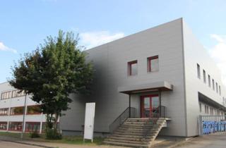 Geschäftslokal mieten in Riedweg 45-47, 89081 Ulm, Moderne Lager & Produktionshalle mit vielseitigen Nutzungsmöglichkeiten in TOP-Lage+Außenfläche