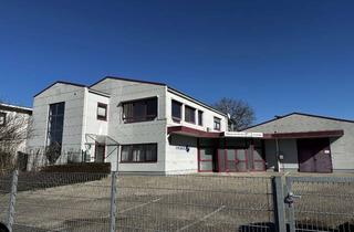 Wohnung mieten in Schönbornstraße, 69242 Mühlhausen, Großzügige 4 Zimmer Wohnung mit 80 qm Dachterasse und 250 qm Garten in Rettigheim-Mühlhausen