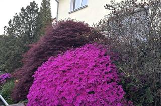 Wohnung mieten in Mangenberger Straße 228, 42655 Solingen, Erdgeschosswohnung mit Gartennutzung