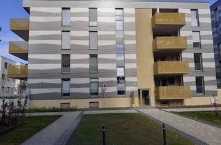 Wohnung mieten in Alice-Haarburger-Straße 27, 72760 Reutlingen, Neubau 4 Zimmerwohnung mit Balkon und EBK: Helle 4-Zimmer-Wohnung mit gehobener Innenausstattung