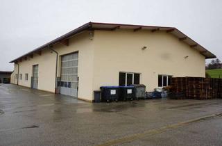 Gewerbeimmobilie mieten in 83128 Halfing, Frei ab 1.7.2026, Top-Industriehalle für Produktion oder Lager Gewerbegebiet. Langfristig vermietbar