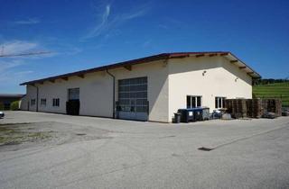 Gewerbeimmobilie mieten in 83128 Halfing, Frei ab 1.7.2026, Top-Industriehalle für Produktion oder Lager Gewerbegebiet. Langfristig vermietbar