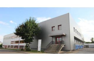 Gewerbeimmobilie mieten in Riedweg 45-47, 89081 Söflingen, Moderne Lager & Produktionshalle mit vielseitigen Nutzungsmöglichkeiten in TOP-Lage+Außenfläche