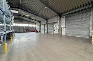 Gewerbeimmobilie mieten in 56564 Neuwied, Neuwied-Distelfeld: Attraktive Lagerflächen in verkehrsgünstiger Lage