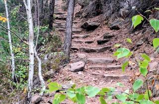 Grundstück zu kaufen in Rübental 29, 67098 Bad Dürkheim, Waldgundstück in Bad Dürkheim/Seebach
