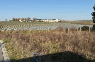 Grundstück zu kaufen in 76831 Impflingen, ++ NEUBAUGEBIET SCHARFENECKSTRASSE - Baugrundstück für EFH mit Fernsicht in Feldrandlage ! ++