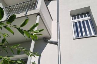 Wohnung mieten in 40229 Düsseldorf, Erstbezug nach umfassender Sanierung ruhige Lage