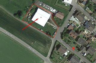 Grundstück zu kaufen in 74613 Öhringen, Grosses Grundstück in Öhringen-Ohrnberg, inkl. große Scheune