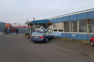 Büro zu mieten in Im Hagenkamp 13, 48282 Emsdetten, Flachdachhalle, Büros