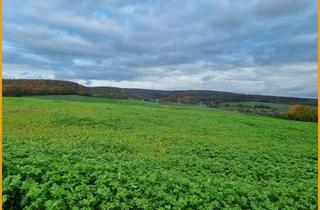 Immobilie kaufen in 34596 Bad Zwesten, SICHERN SIE SICH JETZT IHREN PLATZ IM NEUBAUGEBIET!KEINE KÄUFERPROVISION!