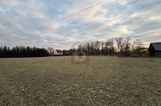 Grundstück zu kaufen in 15324 Gieshof-Zelliner Loose, Gieshof-Zelliner Loose - RIESIEGES GRUNDSTÜCK MIT RIESIGEM POTENTIAL