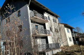 Mehrfamilienhaus kaufen in 94518 Spiegelau, Spiegelau - Mehrfamilienhaus