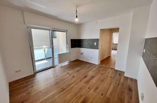 Wohnung mieten in 68623 Lampertheim, Moderne 3 Zimmerwohnung mit Balkon in Lampertheim 1 OG Warmmiete