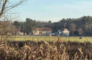 Wohnung mieten in 16559 Liebenwalde, ++ Exklusive Villa: Renovierte 4-Zimmer-Wohnung im wunderschön grünen Liebenwalde ++