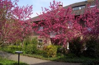 Wohnung mieten in Blumenhof 14, 53119 Nordstadt, 1,0-Zimmer-Wohnung in Bonn Nordstadt