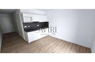 Wohnung mieten in 96052 Bamberg, 1-Zimmer-Apartment mit schöner Dachterrasse und Küche - Bereit für Ihren Erstbezug!