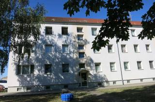 Wohnung mieten in Leipziger Straße 18a, 04509 Zwochau, Schöne helle 4-Raum-Wohnung in Zwochau