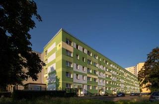 Wohnung mieten in Ernst-Haeckel-Weg, 06122 Nördliche Neustadt, frisch sanierte 4-Raum-Wohnung