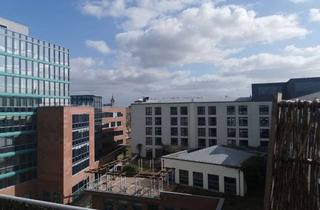 Wohnung mieten in Bitterfelder Straße 50, 06844 Innenstadt, 2 Zimmer Wohnung mit EBK und Terrasse zu vermieten