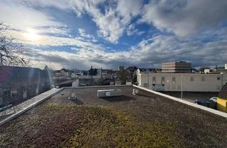 Wohnung mieten in 67227 Frankenthal, Appartement mit Abstellraum und Kochnische in Frankenthal