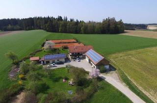 Haus kaufen in 84155 Bodenkirchen, ... traumhaft ruhige Alleinlage - Anwesen mit 330m² + Nebengebäuden auf ca. 7.000m² Grund ...