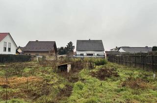 Doppelhaushälfte kaufen in Brunckstrasse 28, 67133 Maxdorf, Maxdorf-TOP-Lage, Neubau einer attraktiven Doppelhaushälfte mit ca. 153 m² Wfl und 282 m² Areal