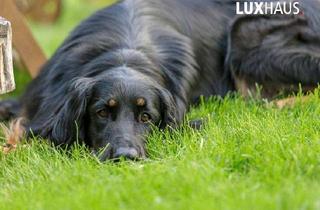 Haus kaufen in 78354 Sipplingen, Ihr neues Zuhause ?! In der Nähe zum Bodensee?!