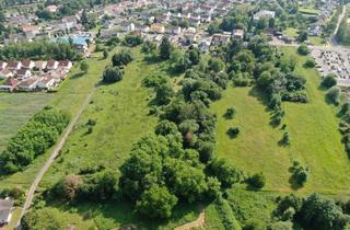 Mehrfamilienhaus kaufen in 66271 Kleinblittersdorf, *Modernes Mehrfamilienhaus* ca. 311m² Wfl. * 5.349m² Grdst. * 1.100 m² Bauland*