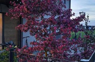 Einfamilienhaus kaufen in 91094 Langensendelbach, Freistehendes Einfamilienhaus Ortsrandlage