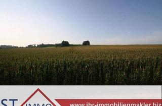 Bauernhaus mieten in 85646 Anzing, ST/IMMO - Anzing, modernes Wohnen am Bauernhof - Reihenmittelhaus im Aussenbereich "Ranharting"