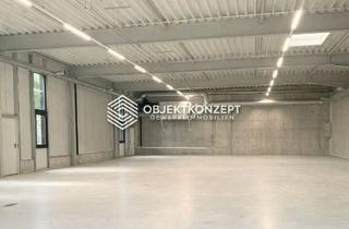 Gewerbeimmobilie mieten in 72364 Obernheim, Neuwertige Produktions- oder Lagerhalle – stark ausgestattet, stark im Preis!