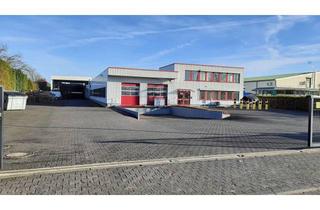 Gewerbeimmobilie mieten in 33175 Bad Lippspringe, Ihre Produktionshallen zur Anmietung