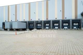 Gewerbeimmobilie mieten in 84130 Dingolfing, Neubau an der A92 - Logistikhalle mit 24/7 Genehmigung