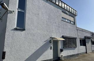 Büro zu mieten in Industriestraße, 76473 Iffezheim, Zu Vermieten: Büros und Industriehalle