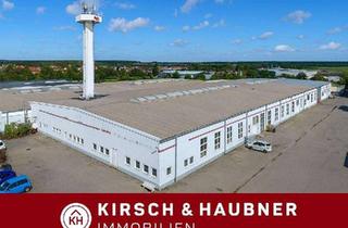 Büro zu mieten in 92353 Postbauer-Heng, 2 Lager- und Produktionshallen mit Büro und Dienstwohnung,Flexibel + großzügig + ebenerdige And...