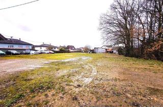 Grundstück zu kaufen in 76779 Scheibenhardt, Voll erschlossenes Baugrundstück mit 1.380 qm in attraktiver Grenzlage