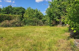 Grundstück zu kaufen in 04552 Borna, Bauträgergebundenes Grundstück, welches sofort bebaut werden kann