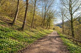 Grundstück zu kaufen in Auf Der Au 45, 56132 Dausenau, Traumgrundstück in sonniger Randlage von Dausenau